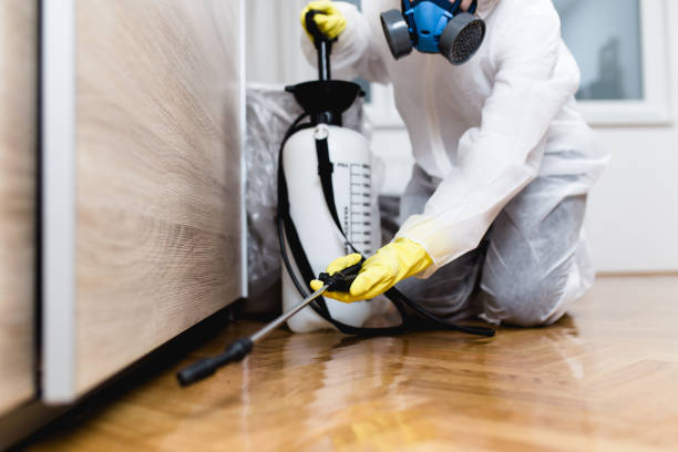 Best Local Pest Control Services  in West Lake Hills, TX