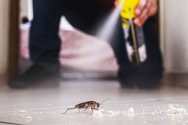 Professional Pest Control in West Lake Hills, TX