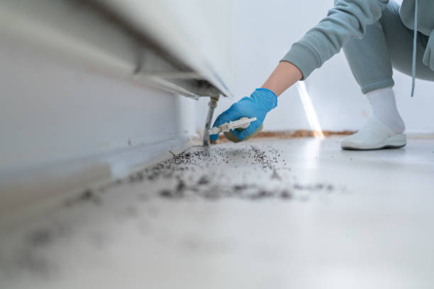 Best Affordable Pest Control Services  in West Lake Hills, TX